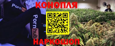 гашик Сланцы
